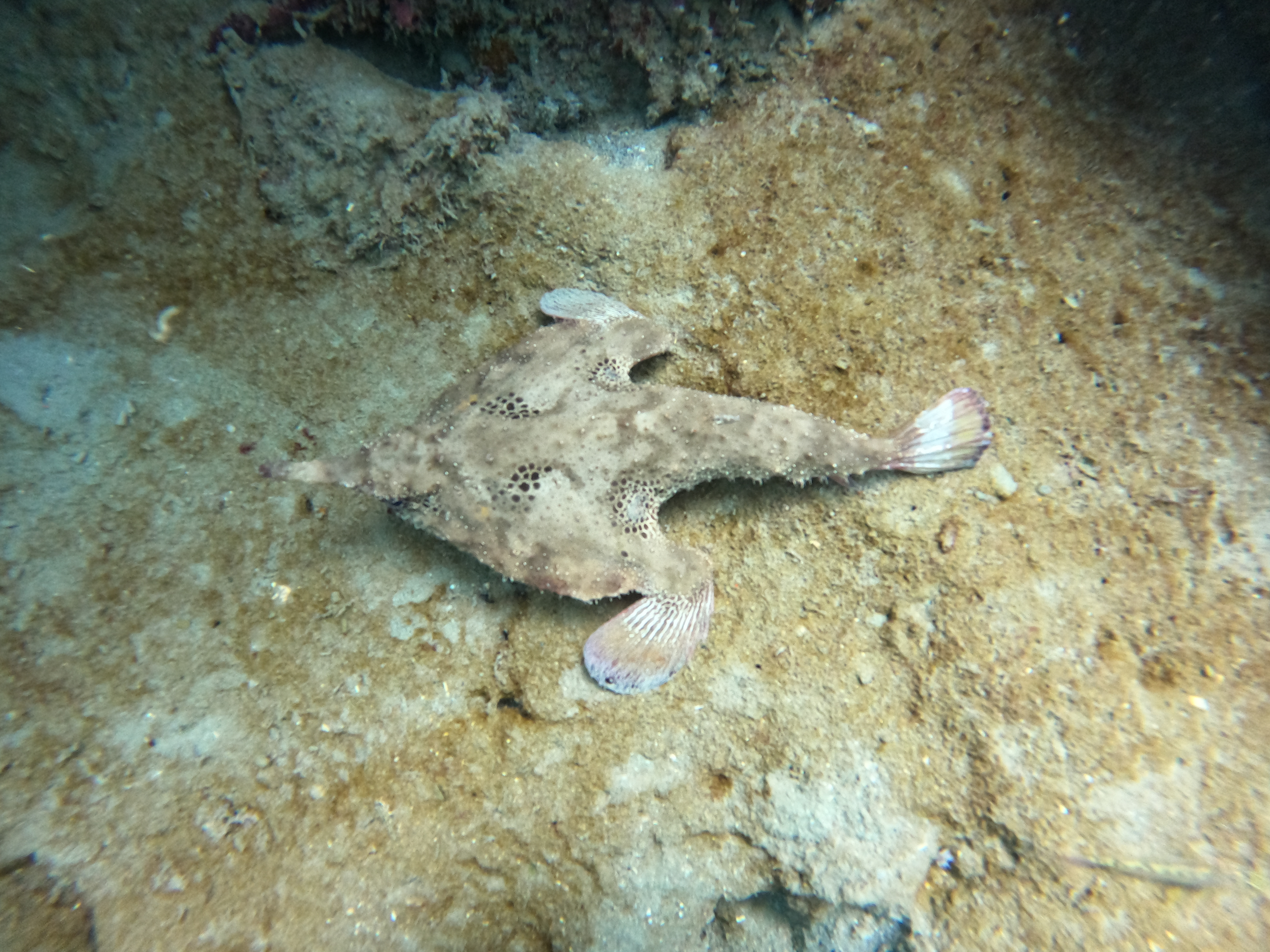 example image