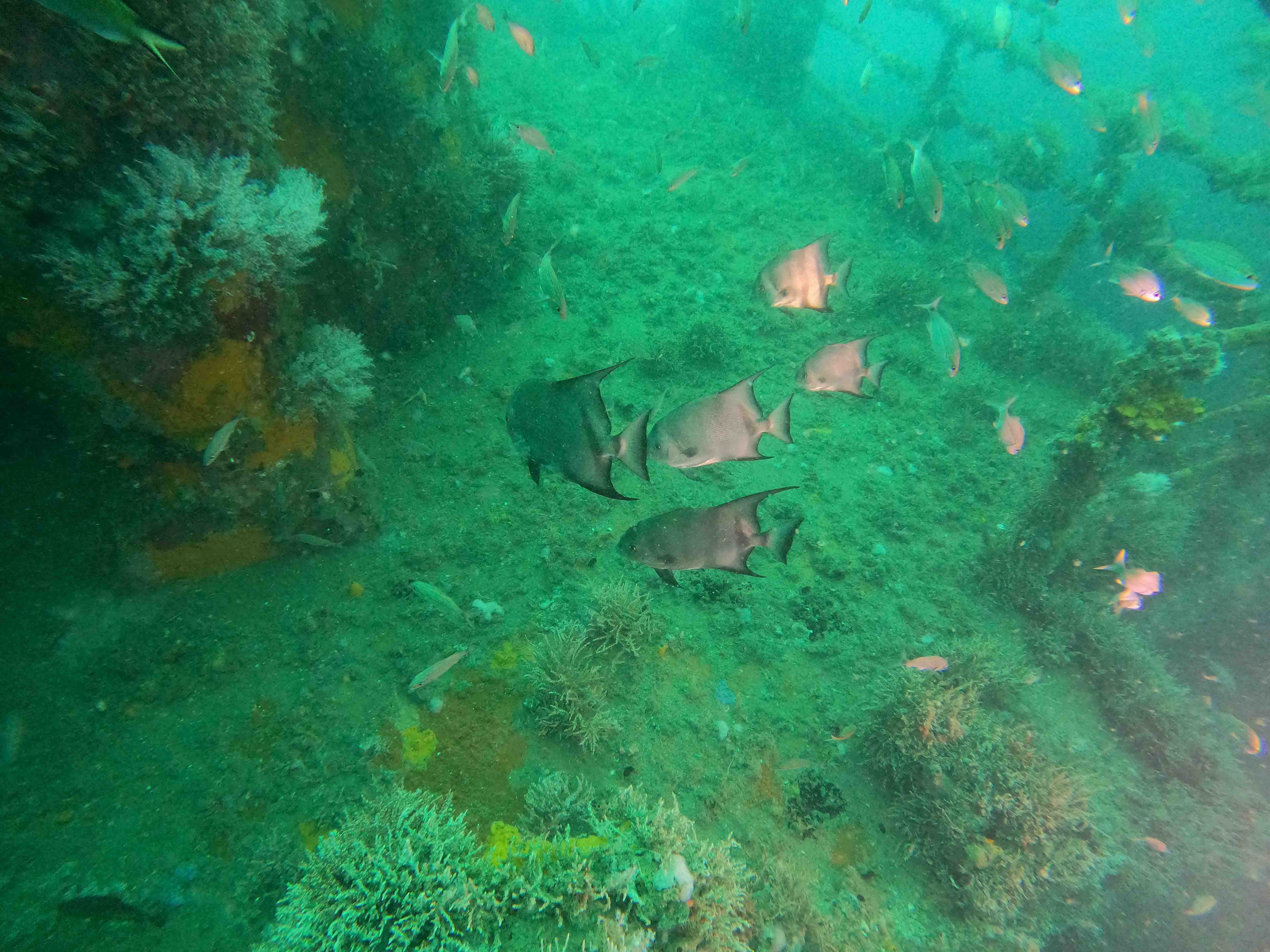 example image